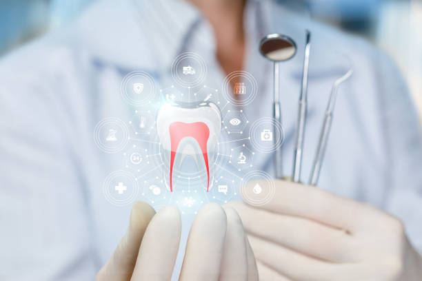 Best Veneers and Lumineers  in Orchard Homes, MT
